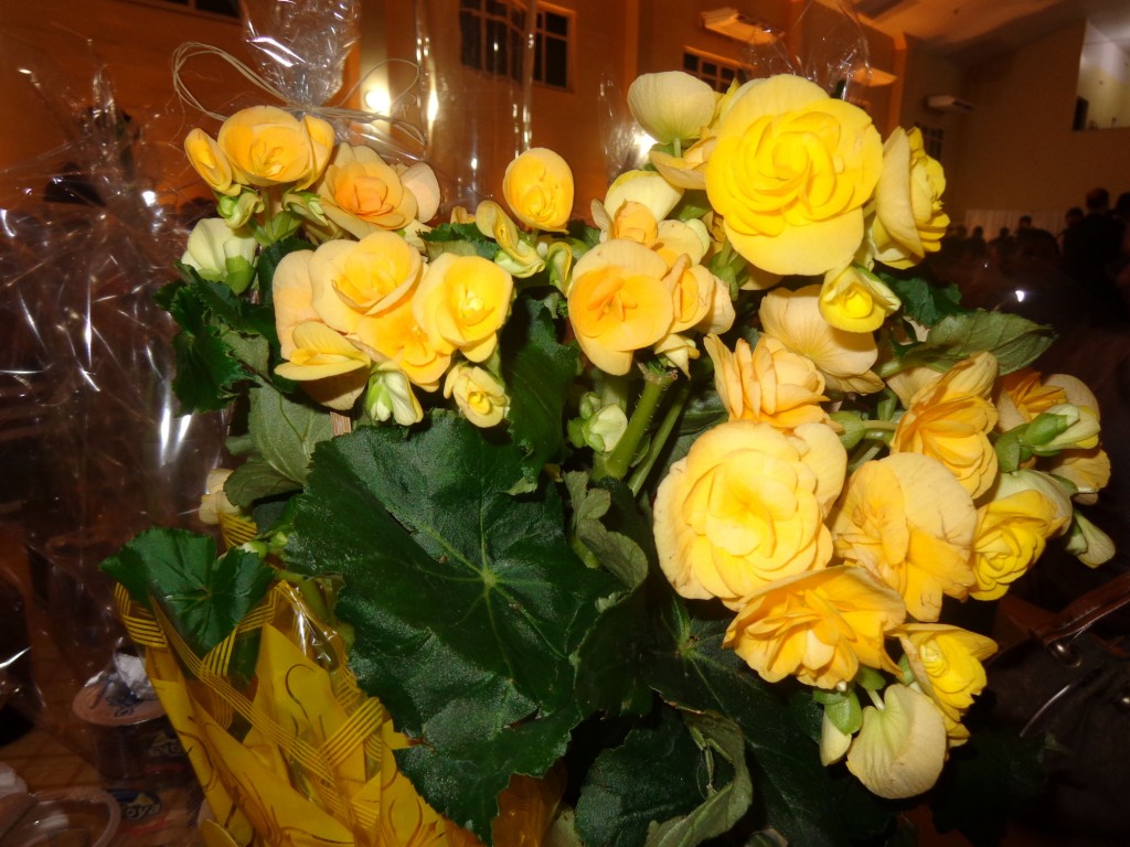 DSC00600