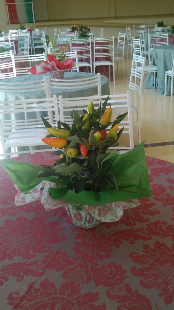foto4